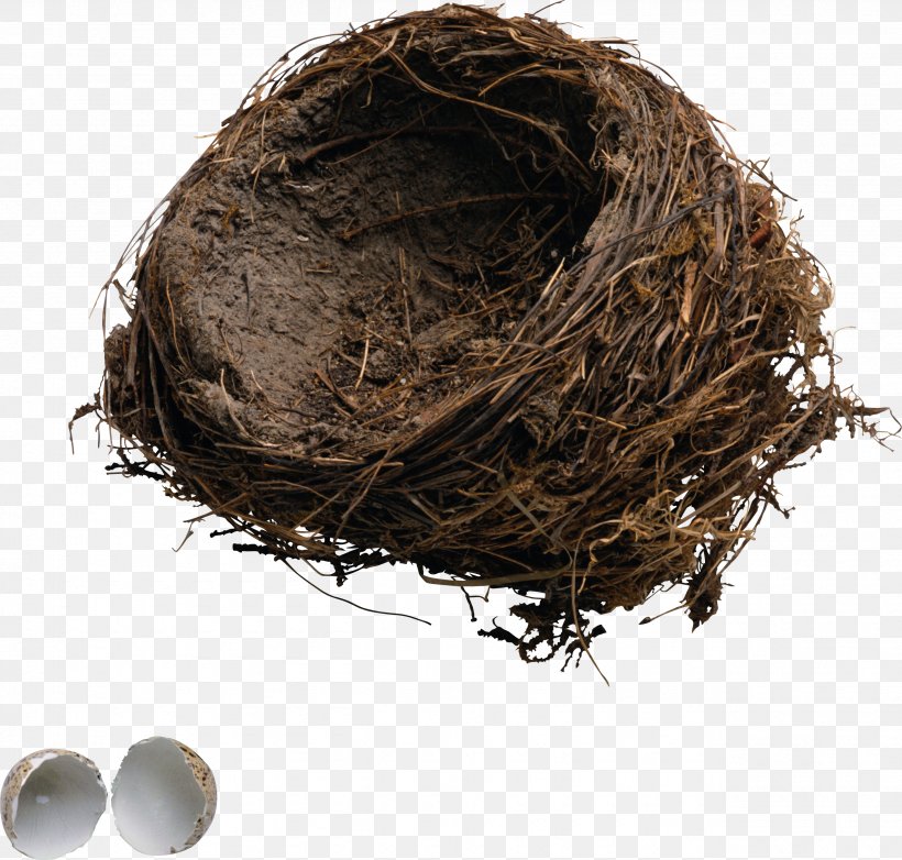 Bird Nest Edible Bird's Nest, PNG, 2565x2448px, Bird, Archive File, Bird Nest, Egg, Nest Download Free