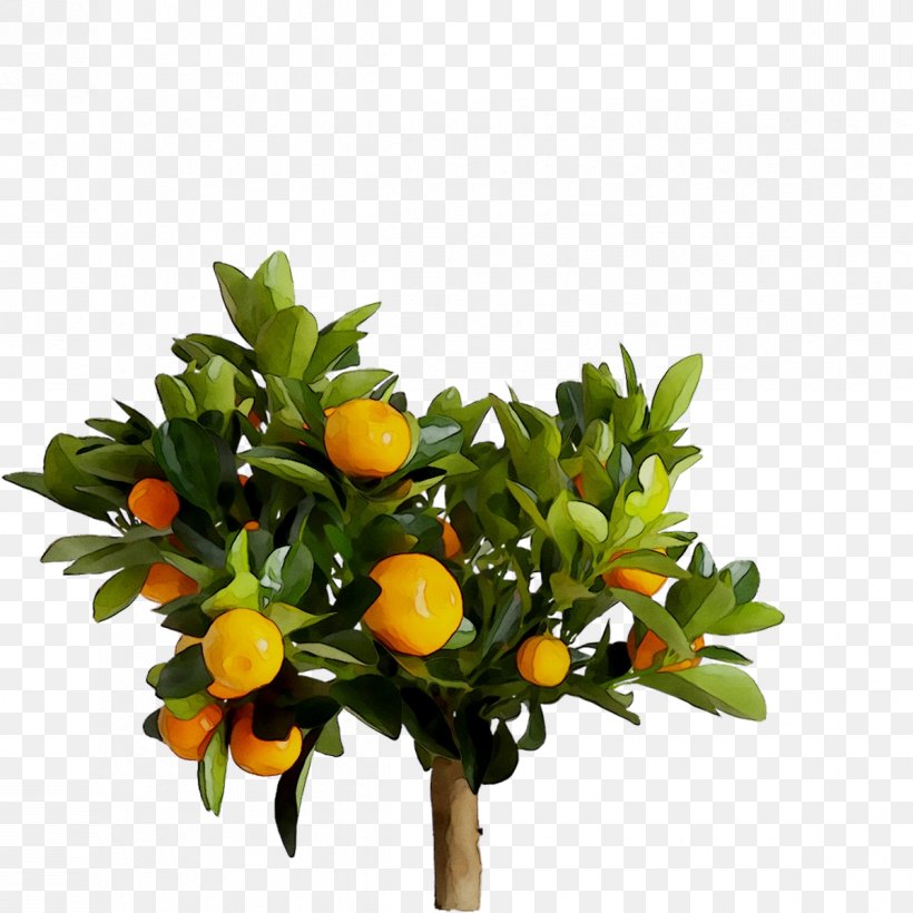 Bitter Orange Flowerpot IKEA Artificial Flower Calamondin, PNG, 1198x1198px, Bitter Orange, Artificial Flower, Branch, Cachepot, Calamondin Download Free