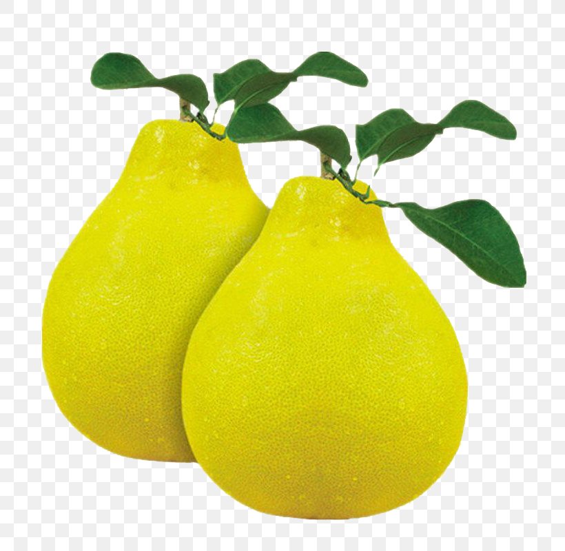 Citron Pomelo Lemon Grapefruit Citrus Junos, PNG, 800x800px, Citron, Citric Acid, Citrus, Citrus Junos, Citrus Maxima U2018shatianu2019 Download Free