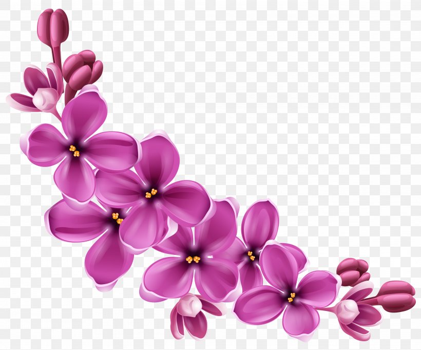 Flower Clip Art, PNG, 4967x4131px, Flower, Blossom, Branch, Cherry Blossom, Color Download Free