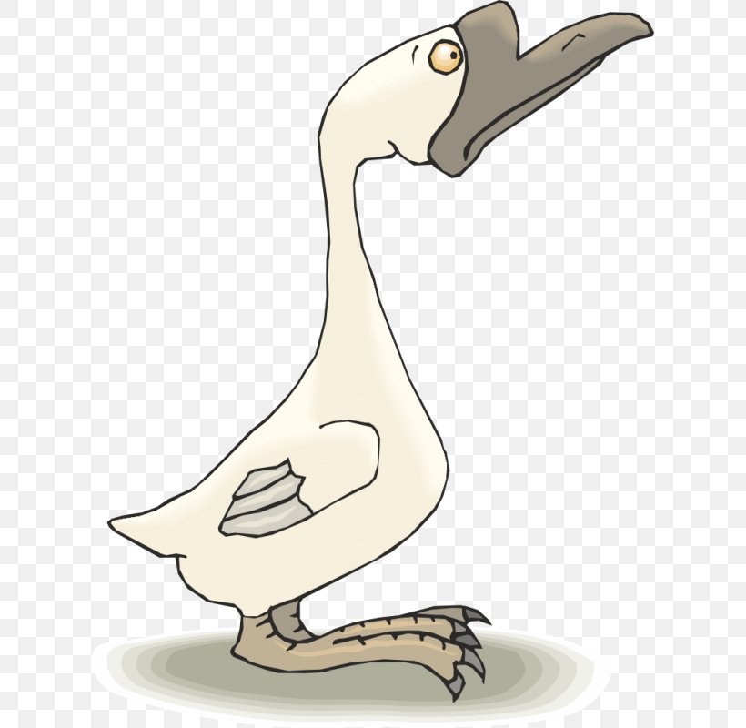 Goose Cygnini Duck Clip Art, PNG, 800x800px, Goose, Anatidae, Beak, Bird, Canada Goose Download Free