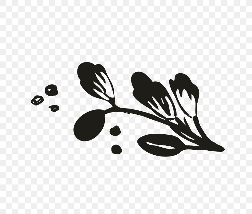 Monochrome Photography Black And White, PNG, 696x696px, Monochrome Photography, Black, Black And White, Branch, Leaf Download Free