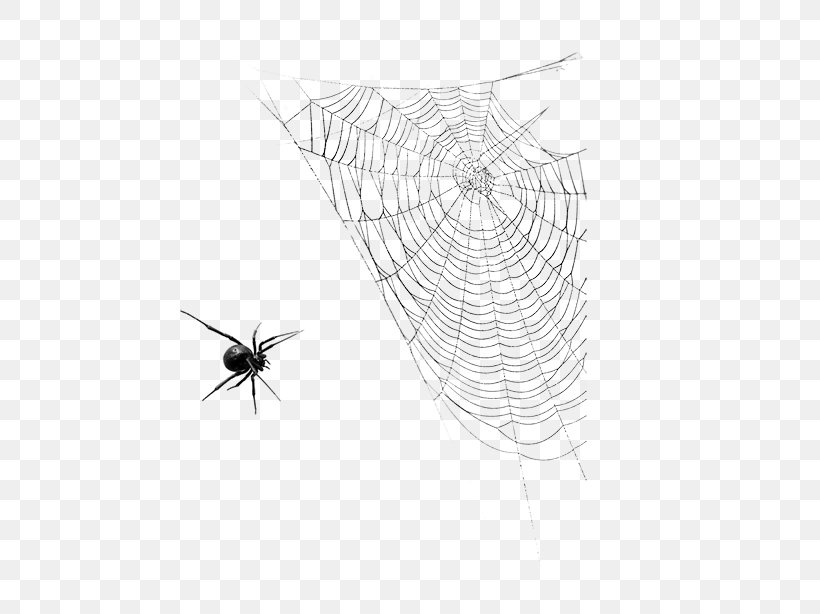 Spider Web Insect Halloween, PNG, 584x614px, Black And White, Black, Illustration, Invertebrate, Monochrome Download Free