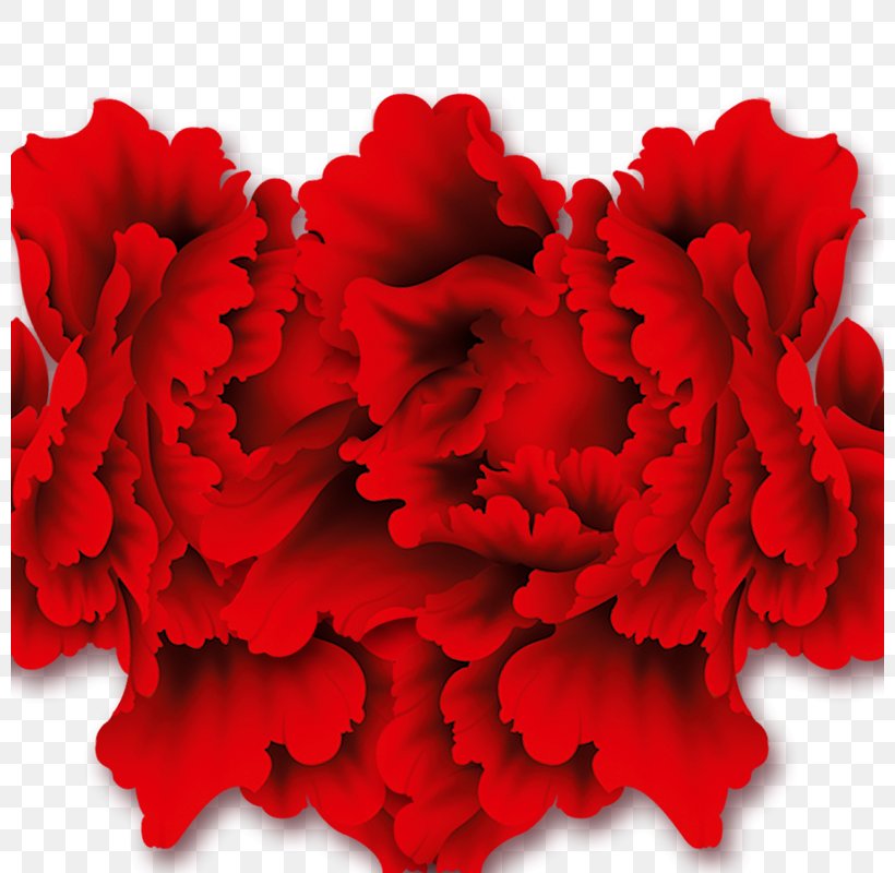 Carnation Cut Flowers Floral Design Red, PNG, 800x800px, Lantern Festival, Carnation, Chinese New Year, Cut Flowers, Drawing Download Free