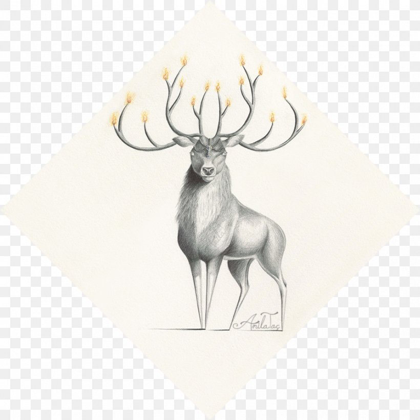 Reindeer Vertebrate Antler Drawing, PNG, 894x894px, Deer, Animal, Antler, Drawing, Mammal Download Free
