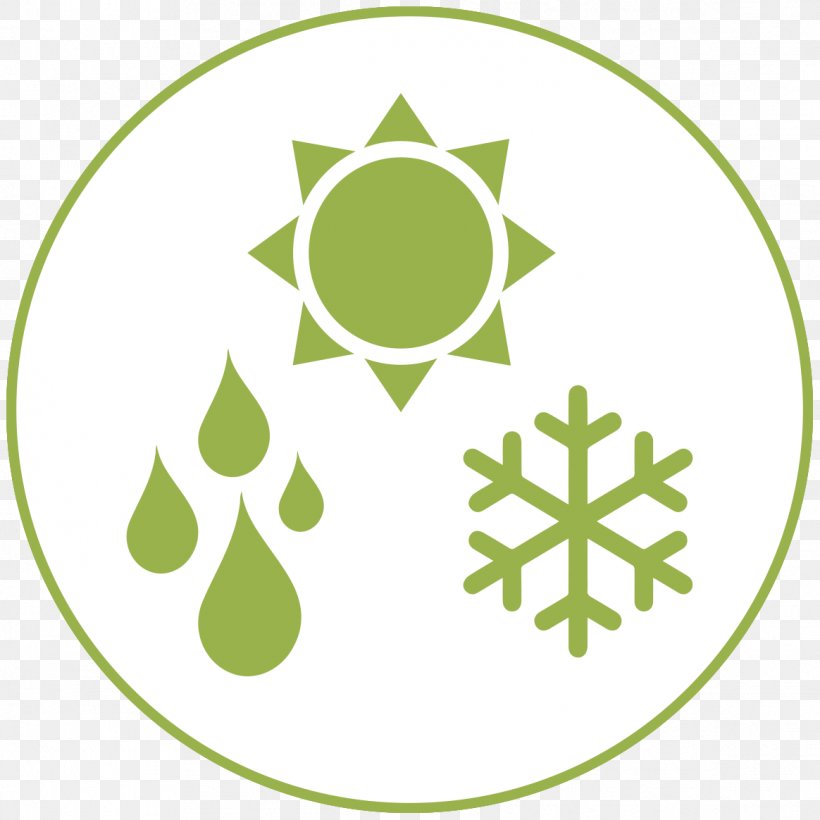 Snowflake Symbol, PNG, 1164x1164px, Snowflake, Area, Brand, Freezing, Green Download Free