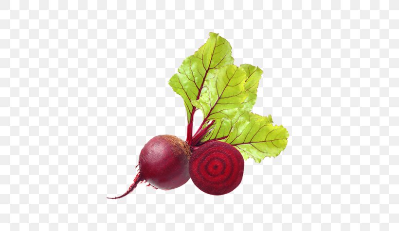 Plant Leaf, PNG, 600x476px, Beetroot, Beet, Beet Greens, Beetroots, Berry Download Free
