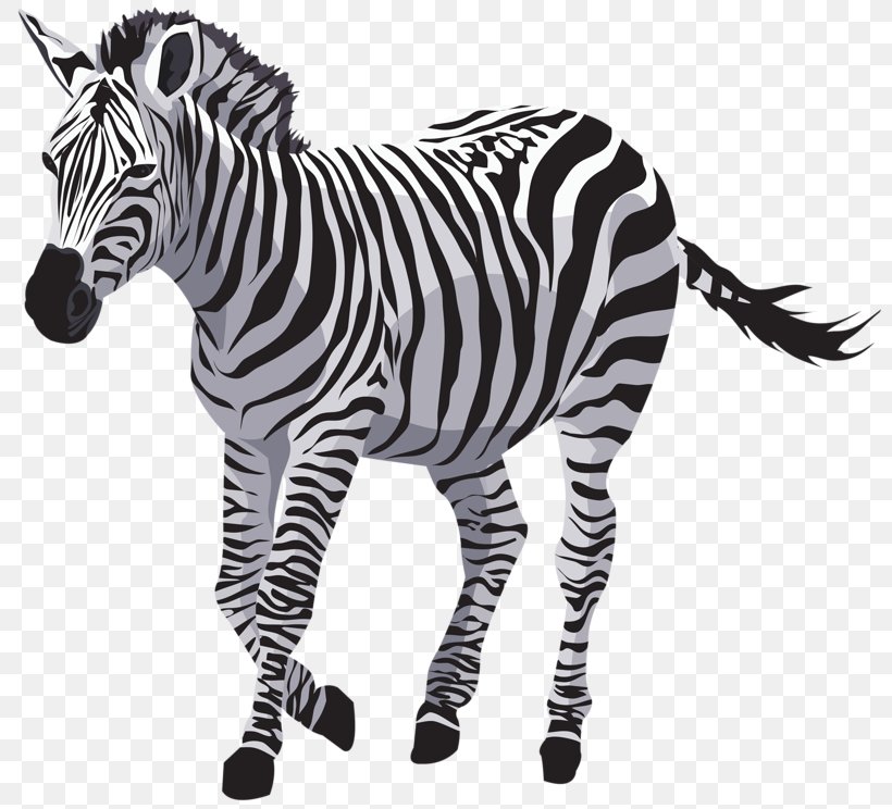 Quagga Zebra Horse Wildlife, PNG, 800x744px, Quagga, Animal, Animal Figure, Art, Big Cats Download Free