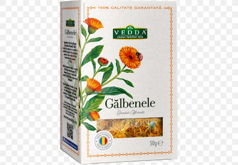 Tea English Marigold Aufguss Plants Flower, PNG, 530x570px, Tea, Aphididae, Aufguss, Calendula, Common Nettle Download Free