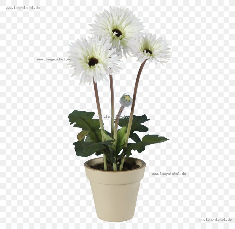 Transvaal Daisy Chrysanthemum Flowerpot Cut Flowers, PNG, 800x800px, Transvaal Daisy, Artificial Flower, Chrysanthemum, Chrysanths, Cut Flowers Download Free
