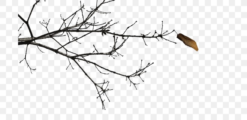 Twig Black And White Branch Clip Art, PNG, 700x400px, Twig, Artwork, Black, Black And White, Branch Download Free