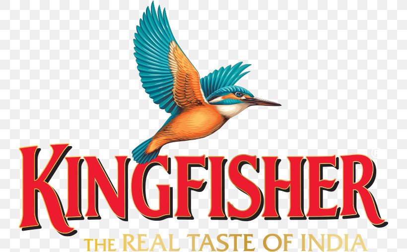 Beer In India United Breweries Group Kingfisher Logo, PNG, 744x507px, Beer, Advertising, Beak, Beer In India, Bird Download Free