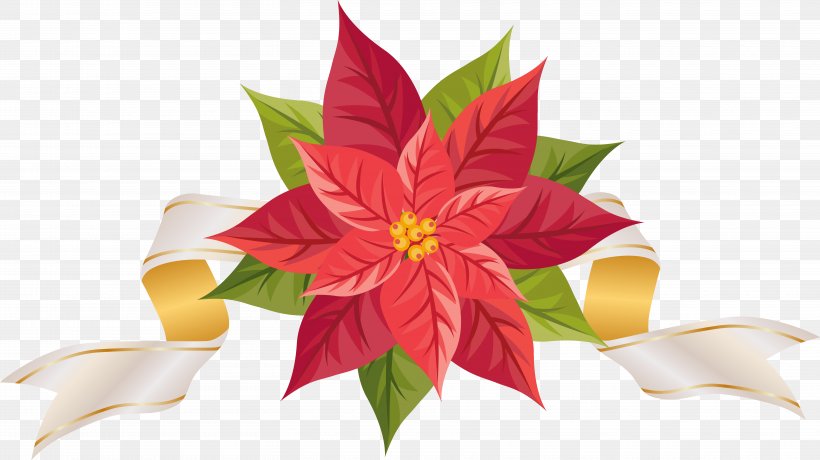 Poinsettia Free Content Christmas Clip Art, PNG, 6025x3385px, Poinsettia, Blog, Christmas, Christmas Decoration, Cut Flowers Download Free