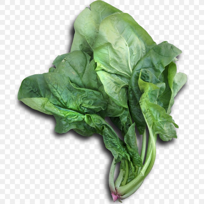 Romaine Lettuce Cabbage Chinese Broccoli Spinach Vegetable, PNG, 3000x3000px, Romaine Lettuce, Brassica Oleracea, Cabbage, Chard, Chinese Broccoli Download Free