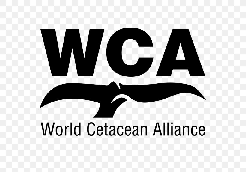 Whale Conservation Cetaceans World Cetacean Alliance Whale Watching Porpoise, PNG, 574x574px, Whale Conservation, Area, Black, Black And White, Brand Download Free