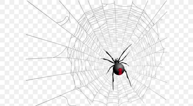 Widow Spiders Insect Symmetry Pattern, PNG, 600x450px, Widow Spiders, Arachnid, Arthropod, Black, Black And White Download Free