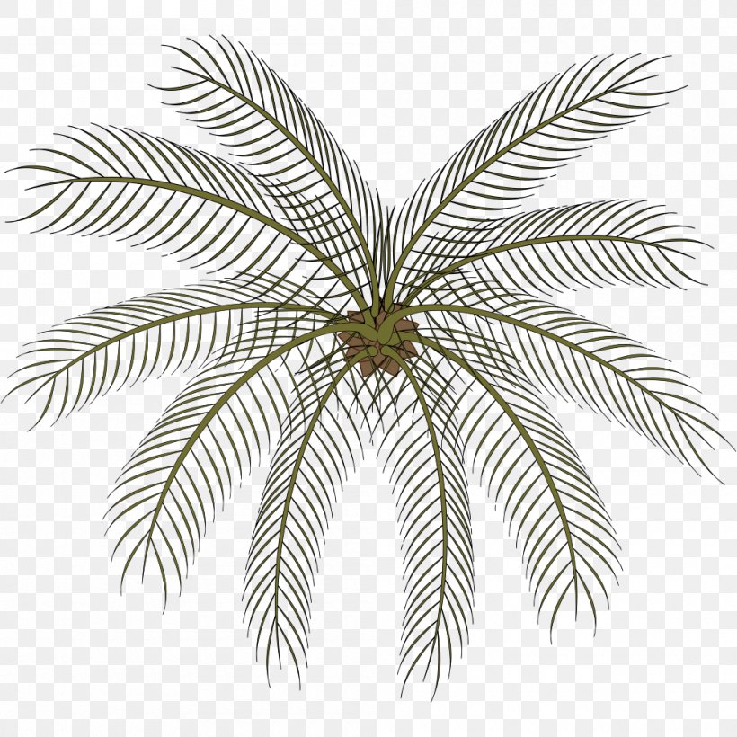 Arecaceae Clip Art, PNG, 1000x1000px, Arecaceae, Arecales, Black And White, Branch, Byte Download Free