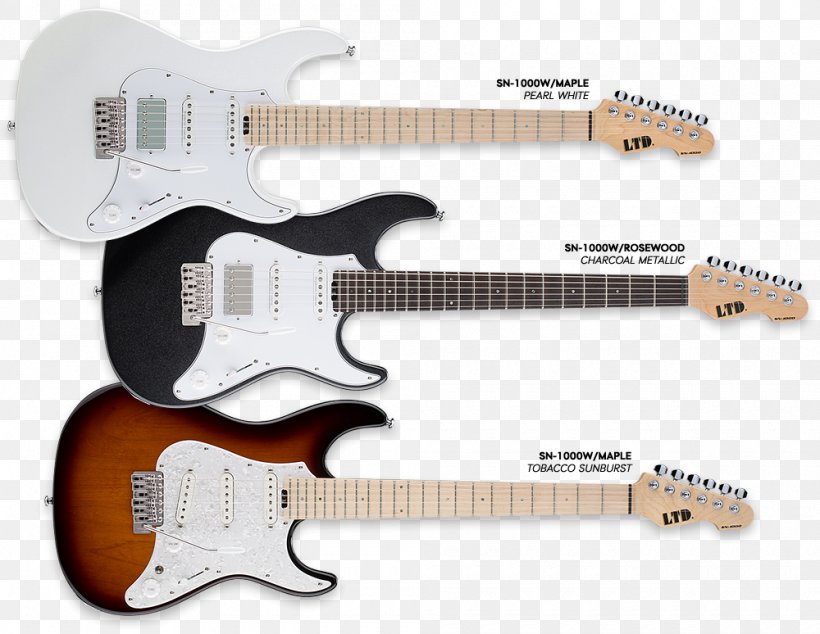 NAMM Show ESP Guitars Electric Guitar ESP LTD SN-1000, PNG, 1000x774px, Namm Show, Acoustic Electric Guitar, Acoustic Guitar, Bass Guitar, Electric Guitar Download Free