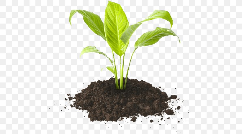 Potting Soil Humus Compost Fertilisers, PNG, 550x455px, Soil, Agriculture, Compost, Earthworm, Fertilisers Download Free