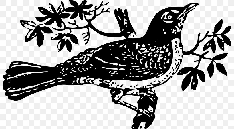 To Kill A Mockingbird Drawing Clip Art, PNG, 800x451px, To Kill A Mockingbird, Art, Beak, Bird, Black And White Download Free