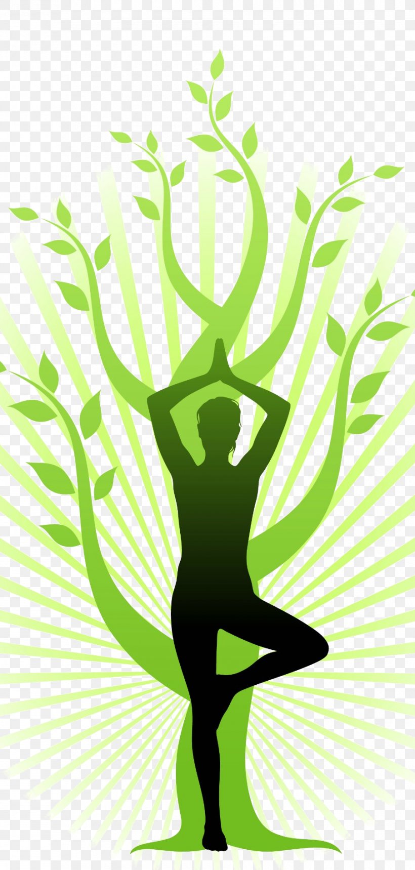 Ashtanga Vinyasa Yoga Vriksasana Exercise Yogi, PNG, 903x1893px, Yoga, Art, Ashtanga Vinyasa Yoga, Branch, Exercise Download Free