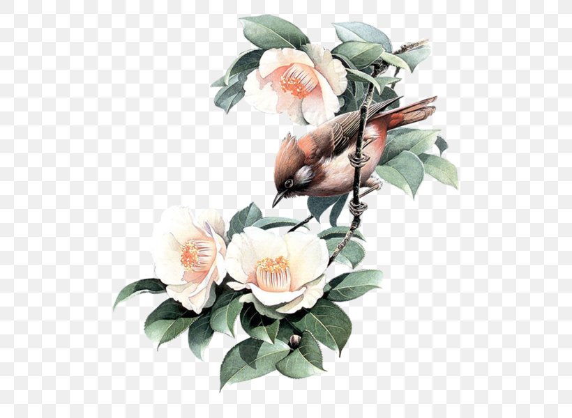 Bird-and-flower Painting Bird-and-flower Painting Garden Roses, PNG, 600x600px, Bird, Artificial Flower, Birdandflower Painting, Cut Flowers, Floral Design Download Free