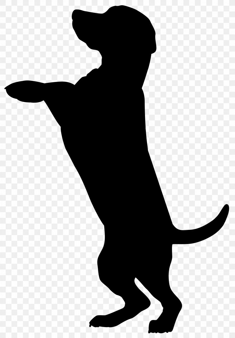 Boxer Dobermann Cat Pet Sitting Silhouette, PNG, 5560x8000px, Dobermann, Animal, Black, Black And White, Boxer Download Free