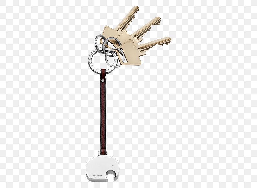 Designer Key Chains Jewellery Silver, PNG, 600x600px, Designer, Clothing Accessories, Cutlery, Georg Jensen, Interior Design Services Download Free
