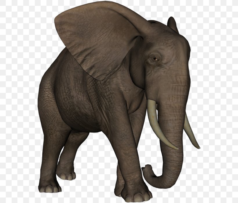 Indian Elephant African Elephant Elephantidae Tusk Animal, PNG, 566x699px, Indian Elephant, African Elephant, Animal, Asian Elephant, Child Download Free
