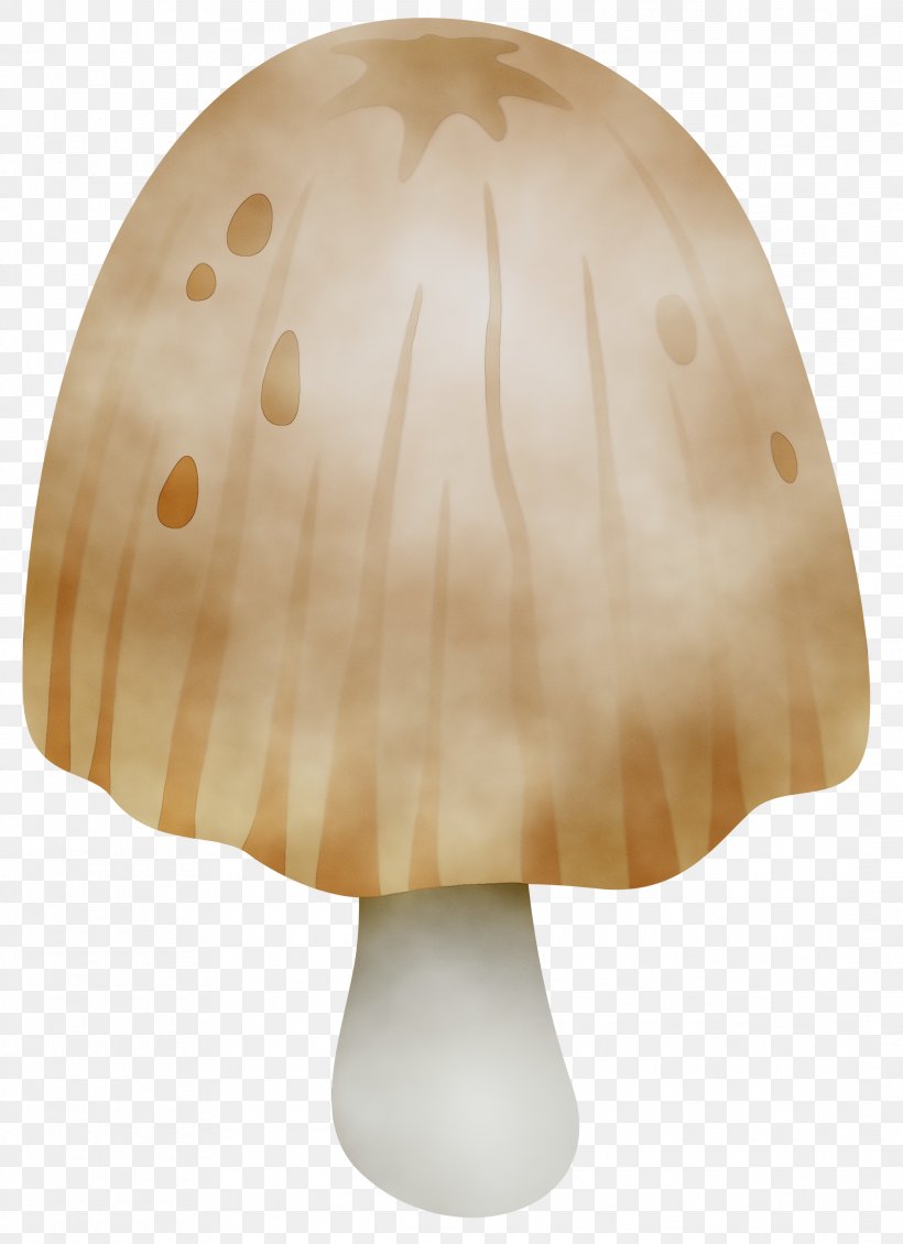 /m/083vt Product Design Wood, PNG, 2176x3000px, M083vt, Agaricaceae, Agaricomycetes, Beige, Fungus Download Free