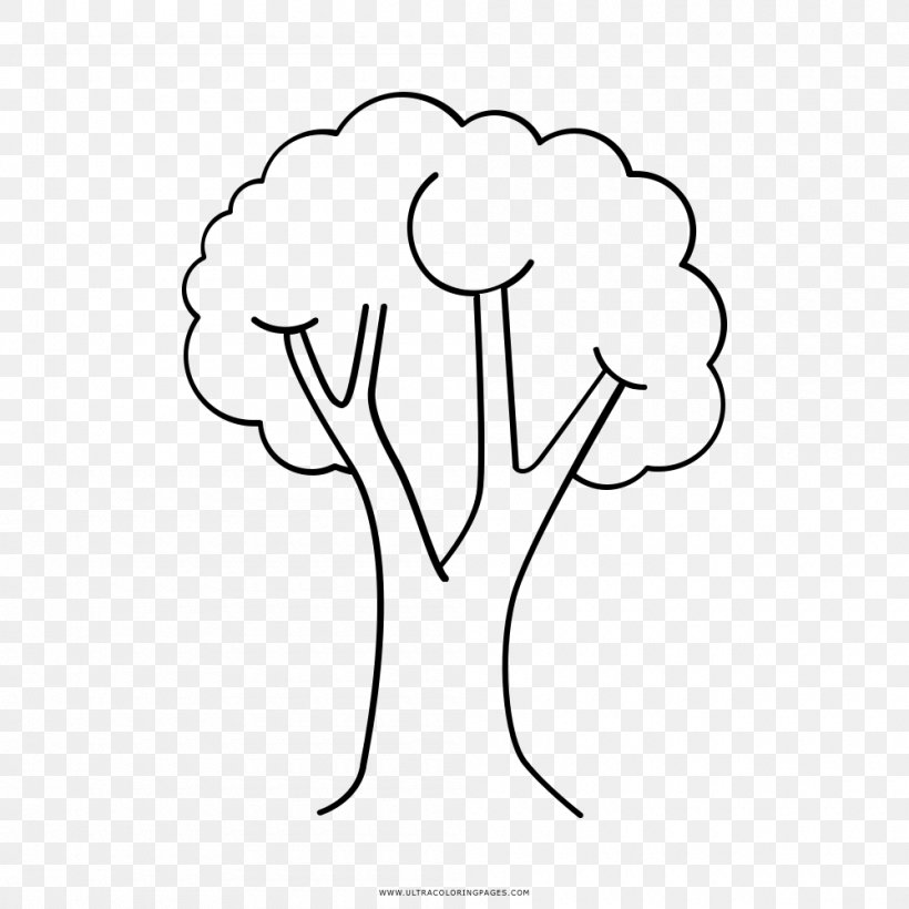 Tree Drawing Coloring Book Child, PNG, 1000x1000px, Watercolor, Cartoon, Flower, Frame, Heart Download Free