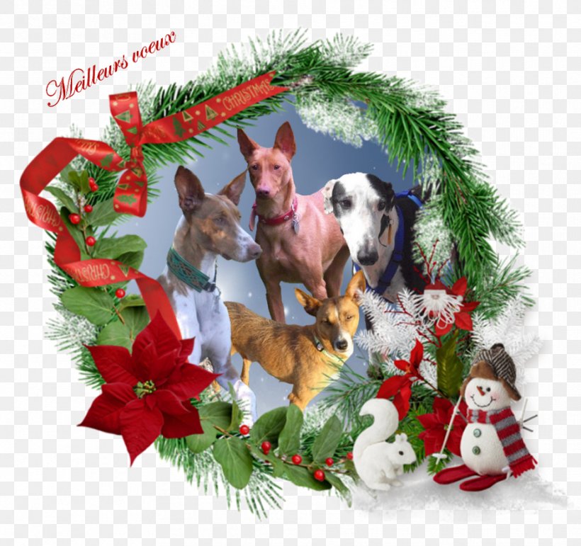 Christmas Ornament Wreath Digital Scrapbooking, PNG, 935x880px, Christmas Ornament, Christmas, Christmas Carol, Christmas Decoration, Crown Download Free