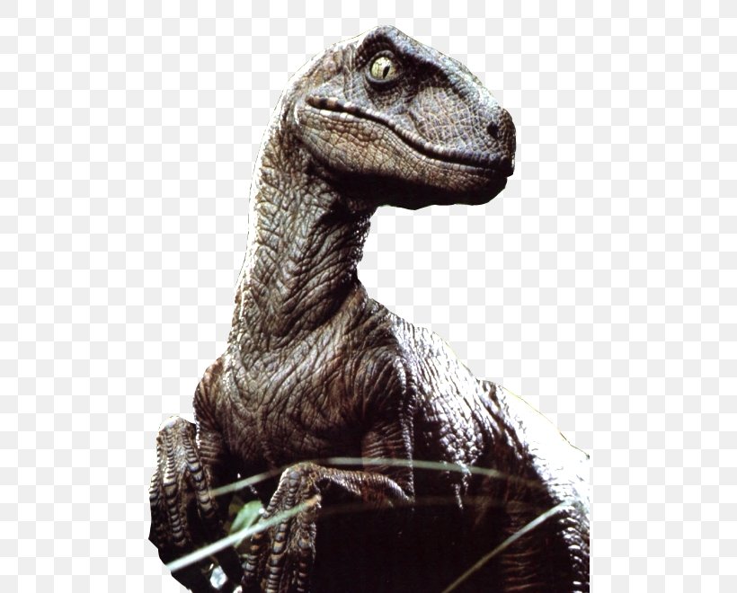 Velociraptor Jurassic Park: The Game Utahraptor Dinosaur, PNG, 492x660px, Velociraptor, Chris Pratt, Dinosaur, Film, Jurassic Park Download Free