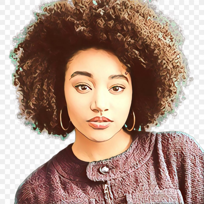 Hair Face Hairstyle Afro Eyebrow, PNG, 2000x2000px, Cartoon, Afro, Brown, Chin, Eyebrow Download Free