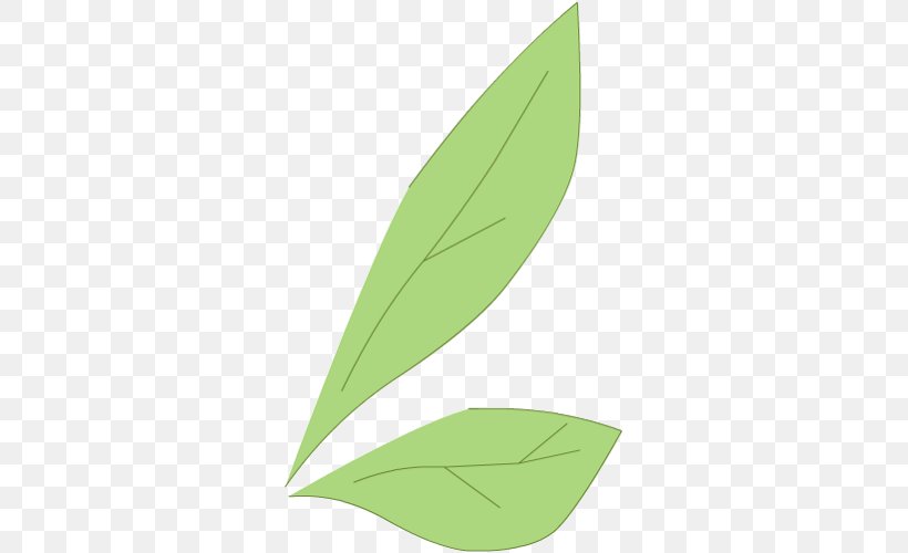 Leaf Plant Stem, PNG, 500x500px, Leaf, Grass, Green, Plant, Plant Stem Download Free