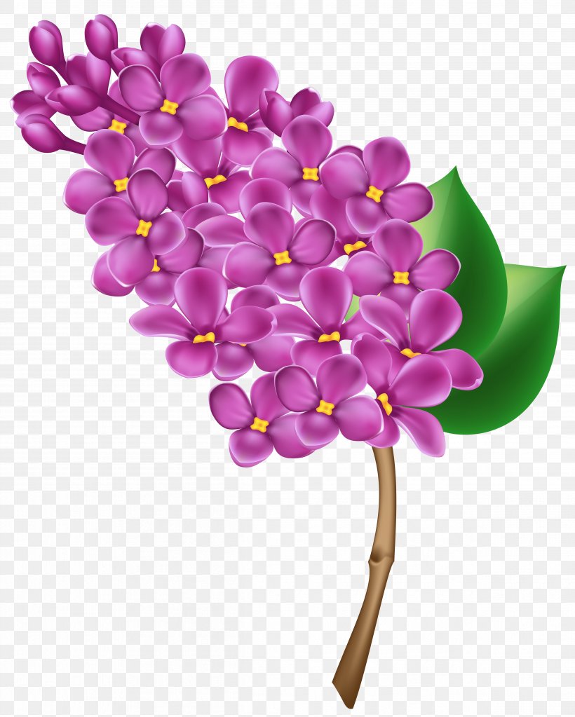 Lilac Flower Clip Art, PNG, 4805x6000px, Lilac, Blog, Blossom, Branch, Common Lilac Download Free