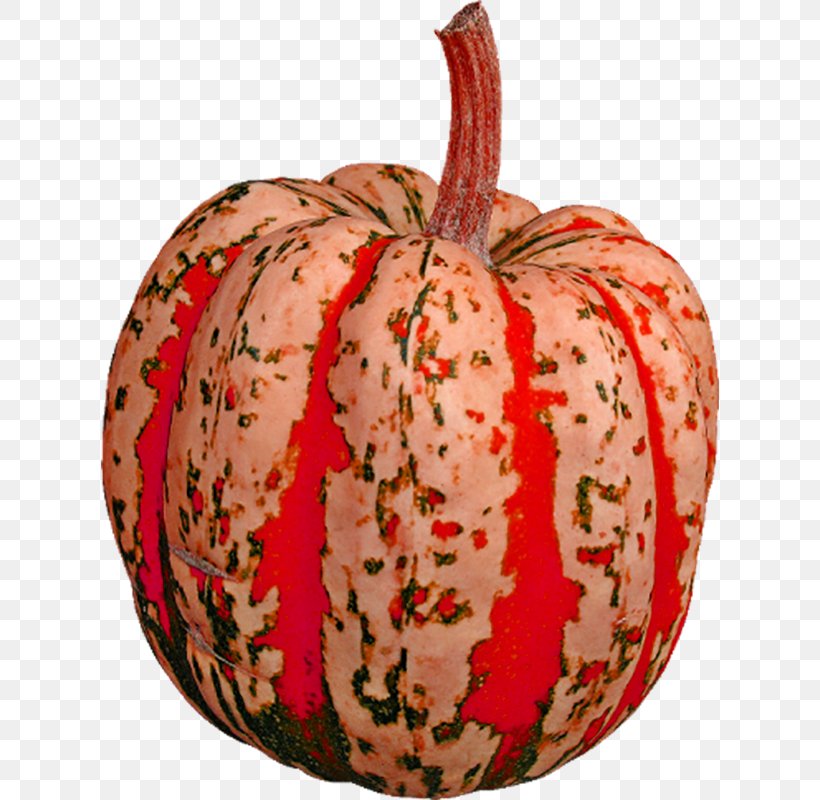 Pumpkin Food Winter Squash Vegetable, PNG, 618x800px, Pumpkin, Apple, Capsicum Annuum, Copyright, Cucurbita Download Free