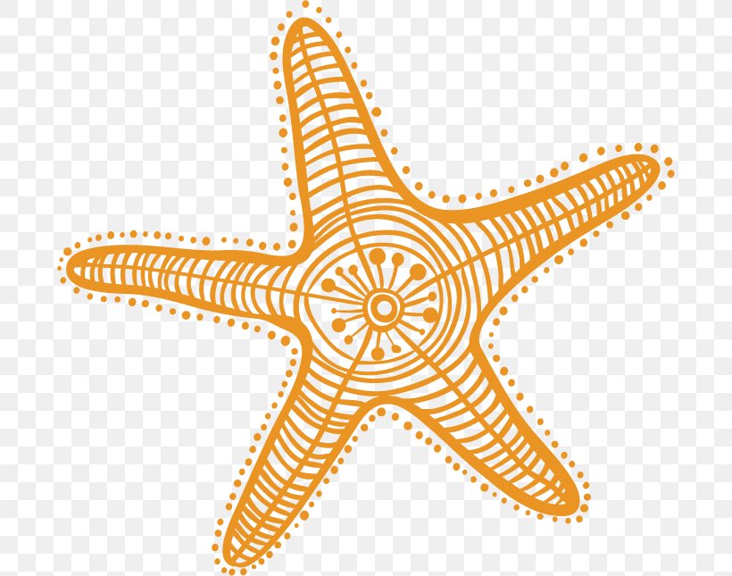 Starfish Drawing Cartoon Clip Art, PNG, 692x645px, Starfish, Art, Cartoon, Drawing, Echinoderm Download Free