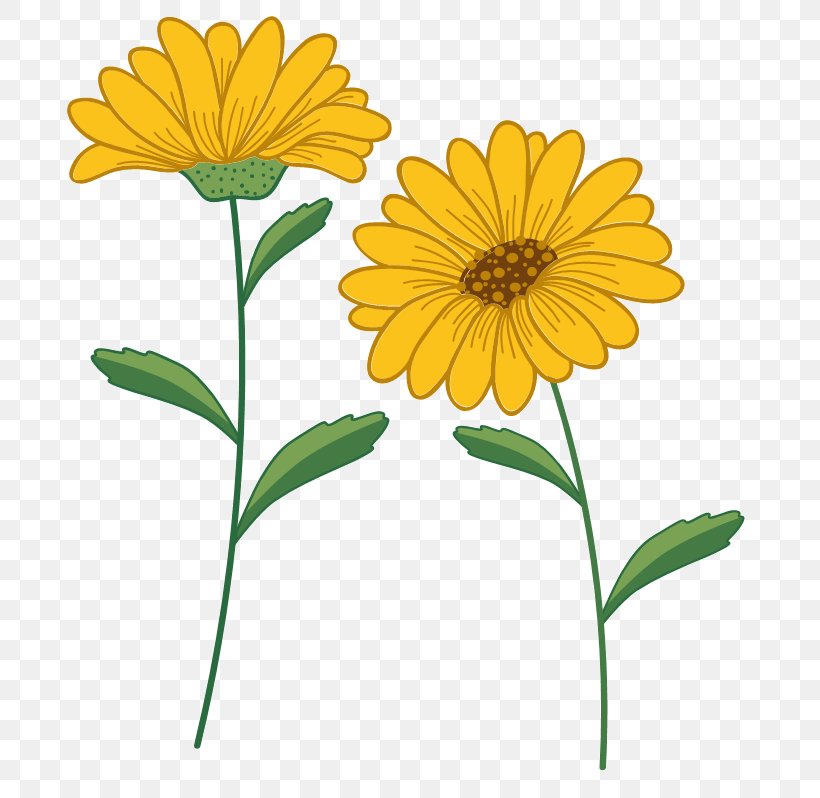 Vector Graphics Download Image Microsoft PowerPoint, PNG, 761x798px, Microsoft Powerpoint, Annual Plant, Calendula, Chrysanths, Creative Work Download Free