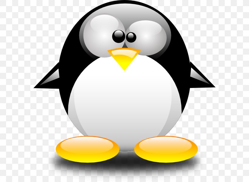 Cartoon Bird png download - 1600*2300 - Free Transparent Club Penguin png  Download. - CleanPNG / KissPNG