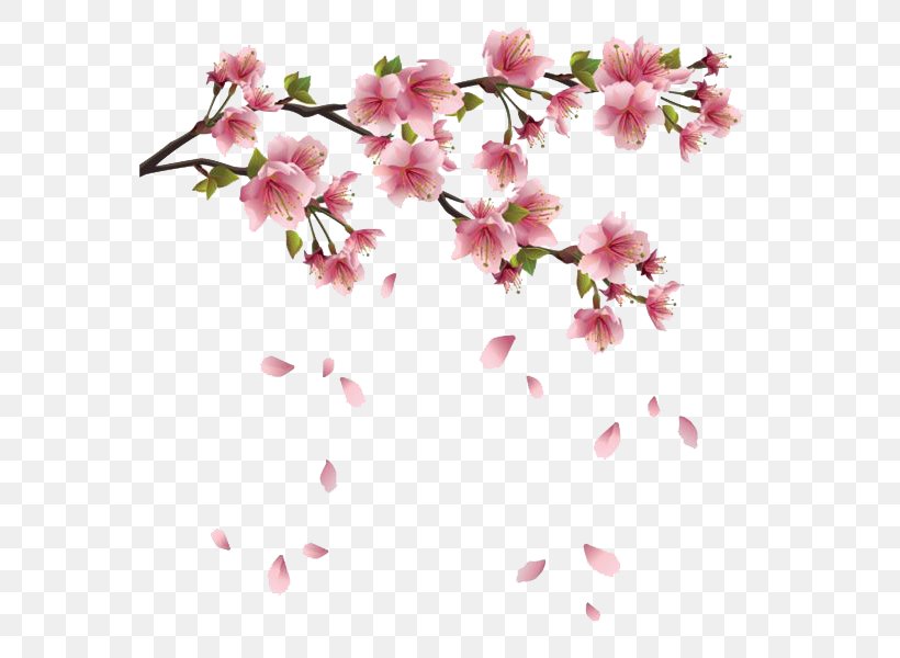 Flower Spring Branch Clip Art, PNG, 566x600px, Flower, Azalea, Blossom, Branch, Cherry Blossom Download Free
