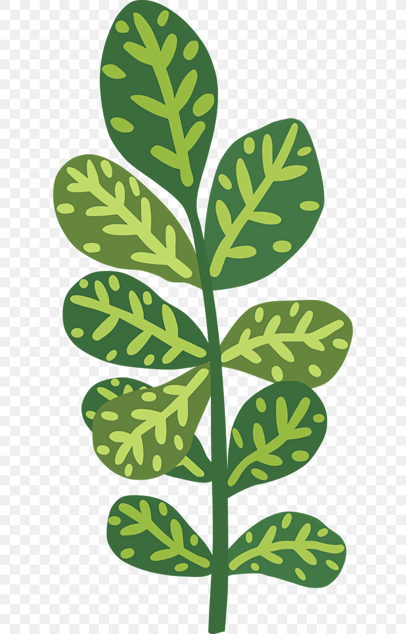 Leaf Plant Stem Tree Pattern Plants, PNG, 640x1280px, Leaf, Biology, Plant Stem, Plant Structure, Plants Download Free