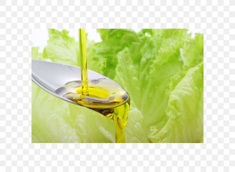 Vegetable Oil Food Health Sesame Oil, PNG, 600x600px, Oil, Colza Oil, Cooking Oils, Food, Health Download Free