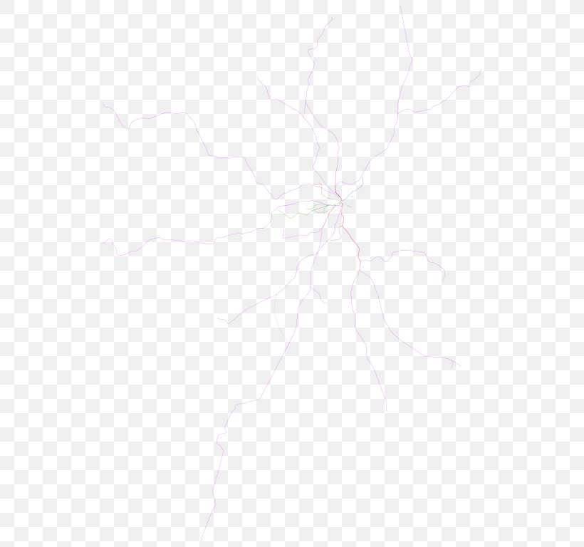 Drawing Line White Point Angle, PNG, 550x768px, Drawing, Black, Black And White, Branch, Hand Download Free