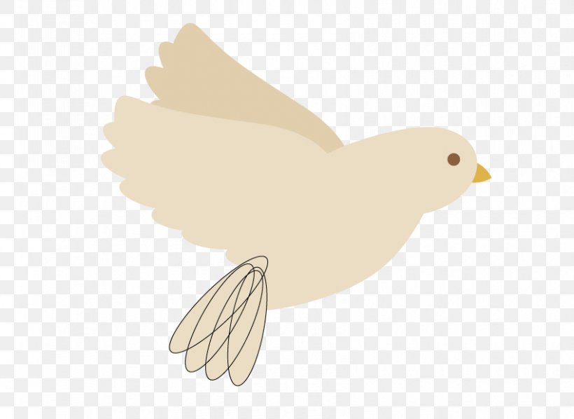 Duck Bird Of Prey Clip Art Beak, PNG, 850x620px, Duck, Beak, Bird, Bird Of Prey, Chicken Download Free