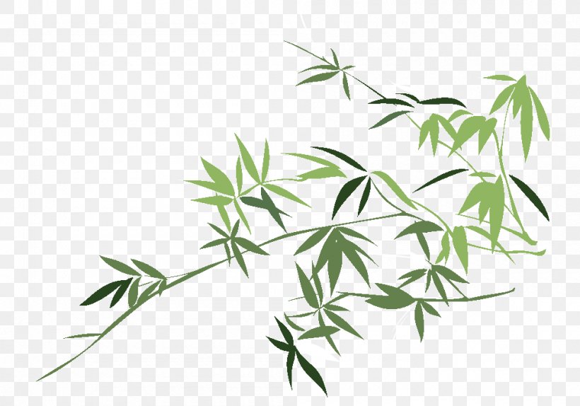 Leaf Bamboo Chusquea Culeou Drawing Plant, PNG, 1000x700px, Leaf, Bamboe, Bamboo, Branch, Drawing Download Free