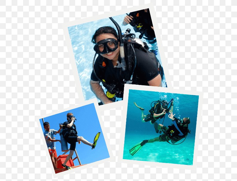 Pattaya Scuba Adventures Thailand Pattaya Dive Centre: PADI 5-Star IDC Scuba Diving Adventure Diving Professional Association Of Diving Instructors, PNG, 626x626px, Scuba Diving, Coral, Coral Reef, Dive Center, Pattaya Download Free