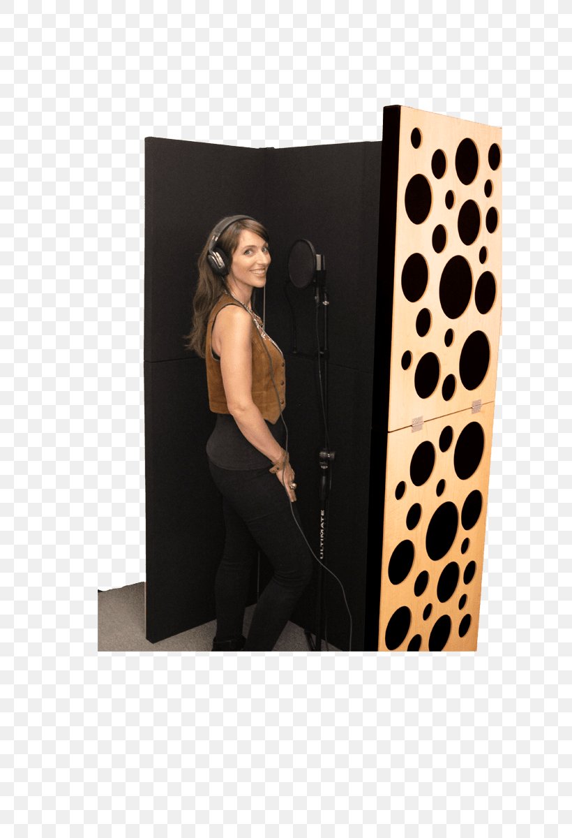Soundproofing Acoustics Recording Studio Isolation Booth, PNG, 800x1200px, Watercolor, Cartoon, Flower, Frame, Heart Download Free