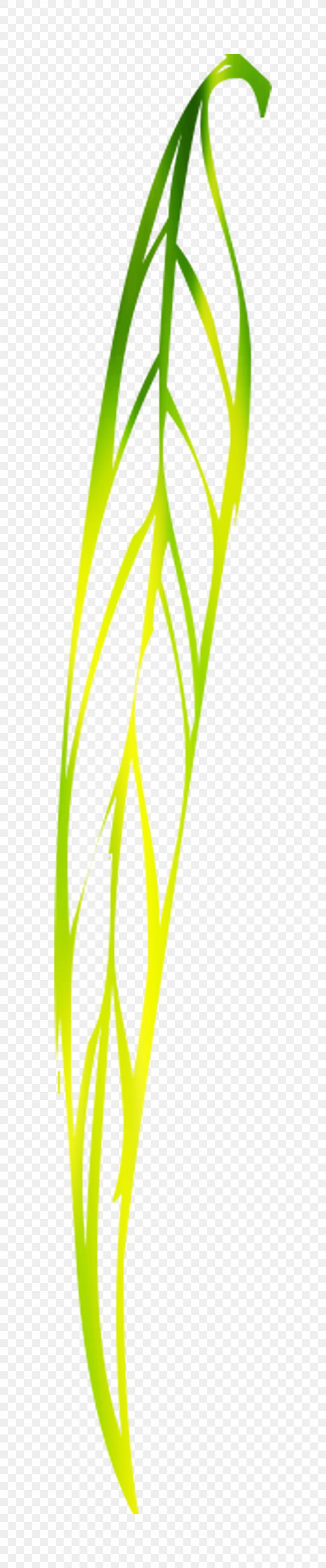 Leaf Vegetable Product Design Plant Stem Line, PNG, 1500x7200px, Leaf, Grass, Grass Family, Green, Plant Download Free