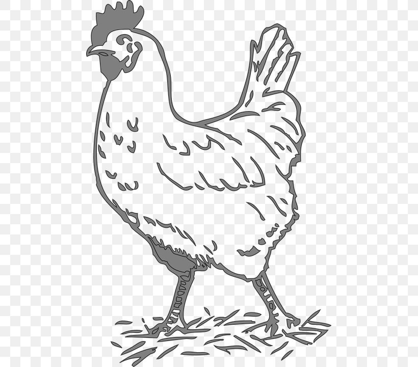 Leghorn Chicken Rooster Clip Art Poultry The Little Red Hen, PNG, 481x720px, Leghorn Chicken, Animal Figure, Art, Artwork, Beak Download Free